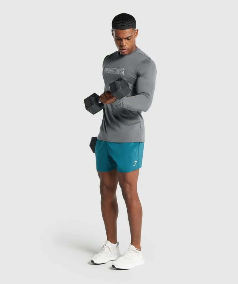 Men's Gymshark Arrival Long Sleeve Graphic T-Shirts Grey | CA 5D3160